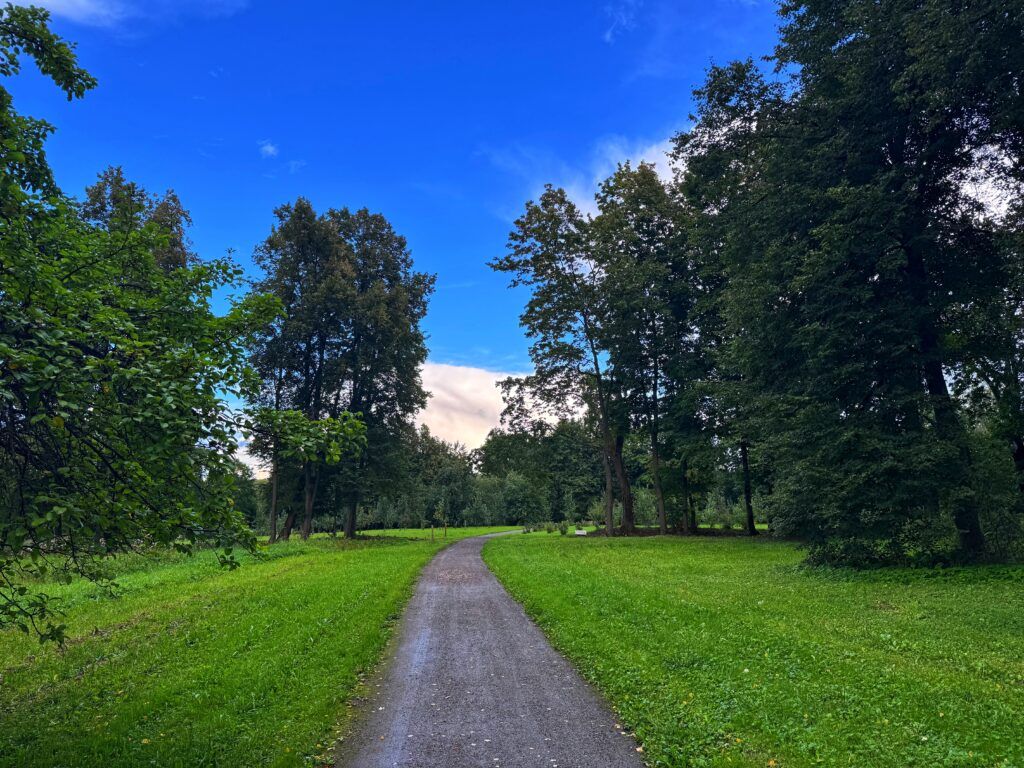 IMG_5269